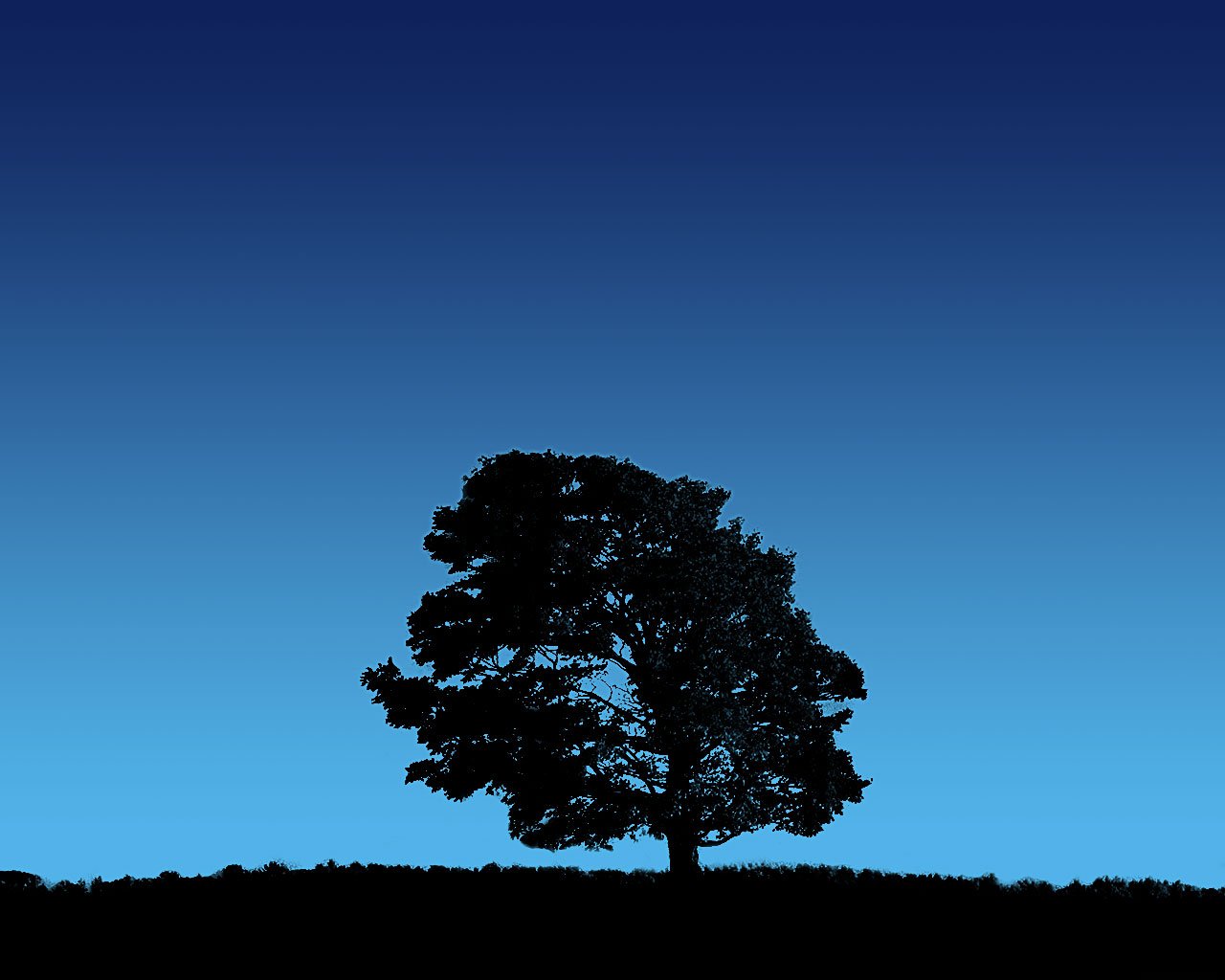 Tree On Blue Sky119639345